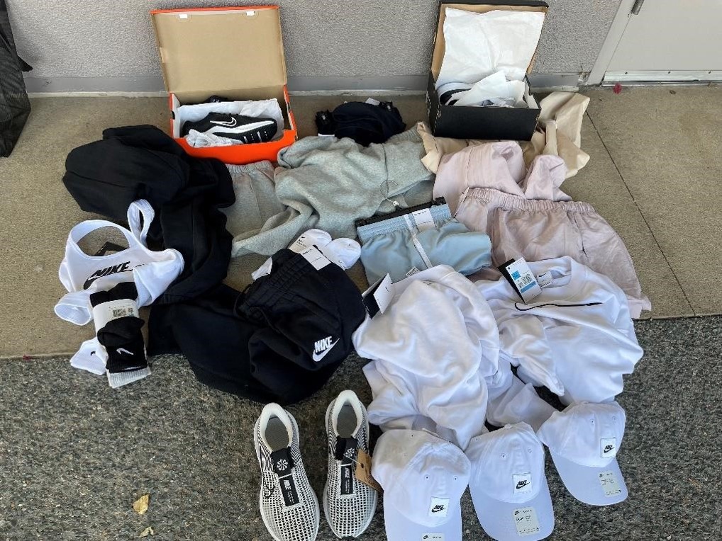 Retail theft bust