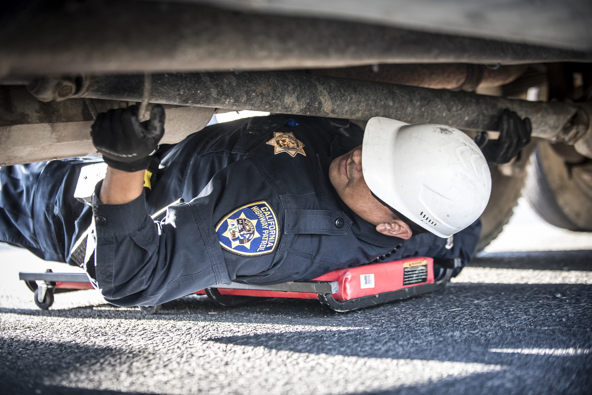 vehicle check